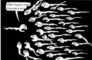 am bored....Anyone want to play with me???