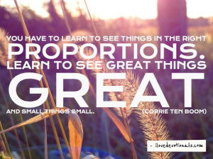 Learn to see great things great and small things small