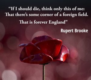 Armistice Day: These Poignant Words Remind Us Of What The Poppies ...