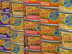SNWMF 2011 - Canned Food Drive