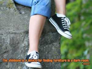 Funny Furniture Quotes