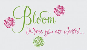 ... on my daughter's wall while she was growing up! My favorite quote