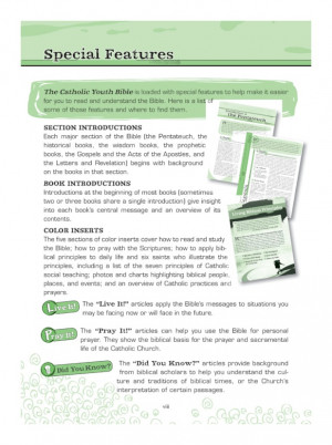 Related Pictures the catholic youth bible revised new revised standard ...