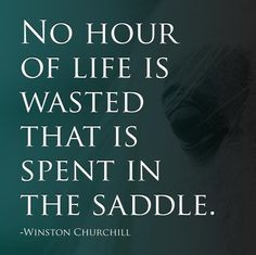 English Riding Quotes | SO TRUE! What's your favorite memory of riding ...