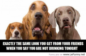 funny quotes about life funny quotes about drinking funny quotes ...