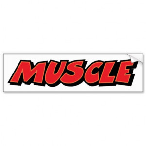 Muscle ~ Car Fitness Trainer Weight Lifter Car Bumper Sticker
