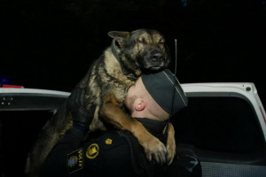 funny police pictures around the world 01