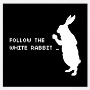 Follow the white rabbit