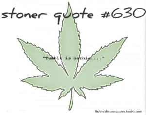 Stoner Tumblr Quotes Stoner quotes ☮ on we heart