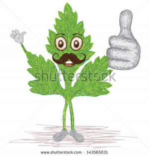 unique style illustration of funny, happy cartoon green parsley ...