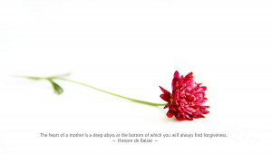 Flower And Quotes Photograph