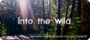 Into the wild chapter 2 quotes wallpapers