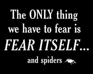 fear #quote #spider #funny #beafraid #amen
