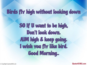 Birds fly high without looking down...