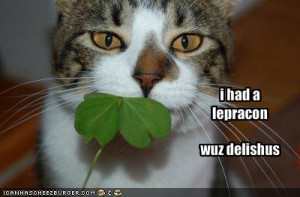 funny_pictures_your_cat_ate_a_leprechaun1_Happy_St_Patricks_Day ...