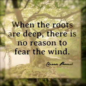 When the roots are deep, there is no reason to fear the wind.