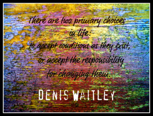 Quotes for Motivation and Inspiration 3 Denis Waitley