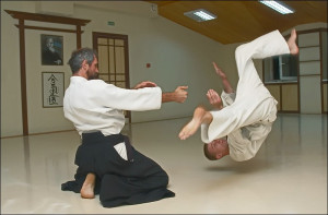Funny Karate (41)