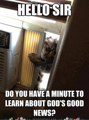 Jehovah’s Witness Cat Needs To Have A Talk About God