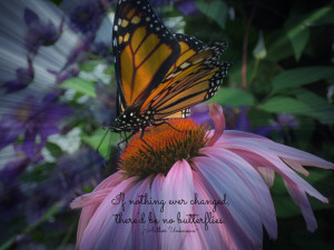 Butterfly Poems and Sayings