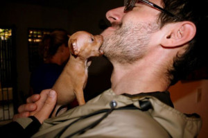 ... in small packages sometimes carry a big bite. We wonder if it hurt