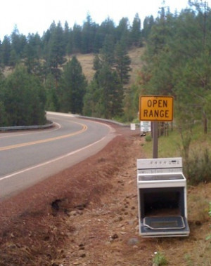 someone has a literal sense of humor