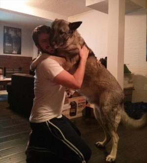 Want To Know About Unconditional Love? Get A Dog – 20 Pics