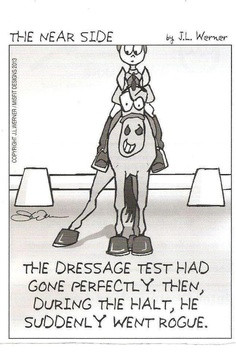 Dressage halt - this was just too funny not to pin! The perfect test ...