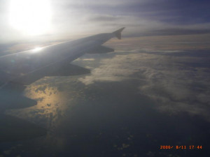 Image Funny Animal Pictures Scary Cat Rwby Wiki