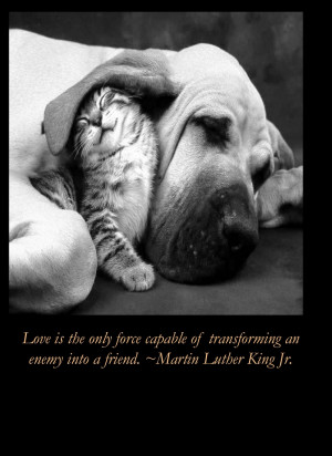 animals quotes dogs martin luther king kittens motivational posters ...