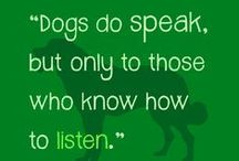 Dog Quotes / by Joyce Moore Dog Training