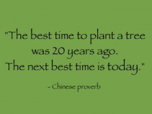 The Best Time To Plant A Tree Was 20 Years Ago. The Next Best Time Is ...