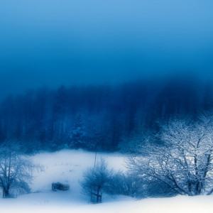 fuzzy, winter, fog, snow, night, nature
