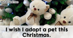 wish I adopt a pet, Christmas Thoughts