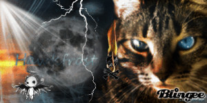 Warrior Fans discussion