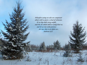 View Bigger Bible Christmas Quotes Christian Verses For The