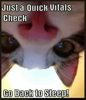 Already have an account? Log in now