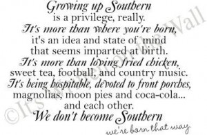Growing Up Southern is a Privilege really Vinyl Lettering Wall Saying ...