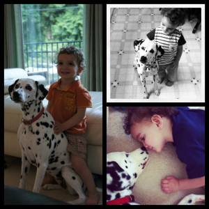 Boy And His Dog (Quotable Bits #27)