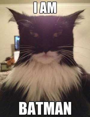 am batman - Funny pictures