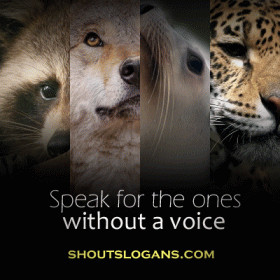 Here is a list of popular wildlife conservation slogans and sayings to ...