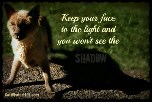 Tag Archives: quotes-cats-shadow-light-optimism