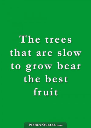 The trees that are slow to grow bear the best fruit. Picture Quote #2