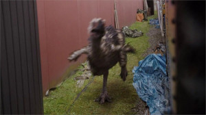 Terror Bird Primeval New World