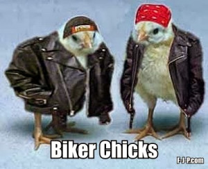 Funny Biker Chicks Joke Picture - Hilarious two chicks dressed up as ...
