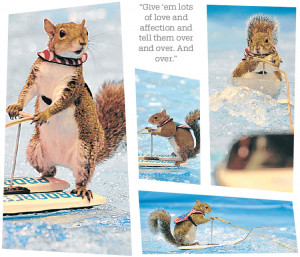 Funny stuff, but it could be worse. It could have been Twiggy, the ...