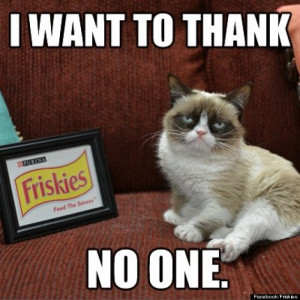 Behind The Scenes At Grumpy Cat's Photo Shoot For Friskies (PHOTOS)
