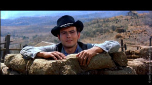 Magnificent Seven The 1960