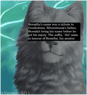 Your Warriors Headcanons