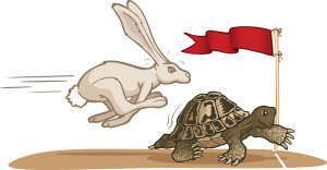 24 thoughts on “ Tortoise and the Hare ”